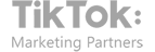 TikTok Marketing Partners